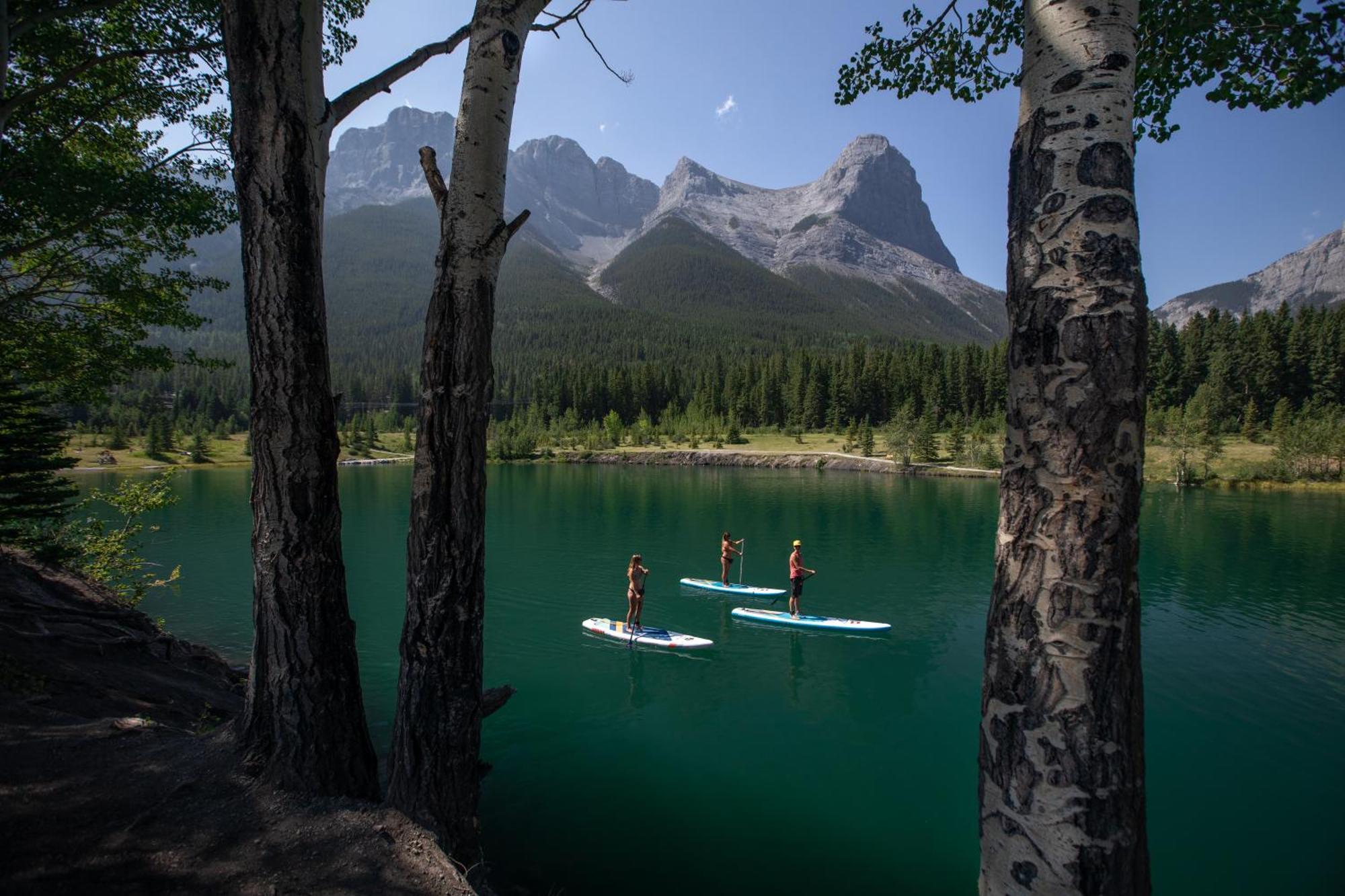 A Bear And Bison Country Inn Canmore Esterno foto