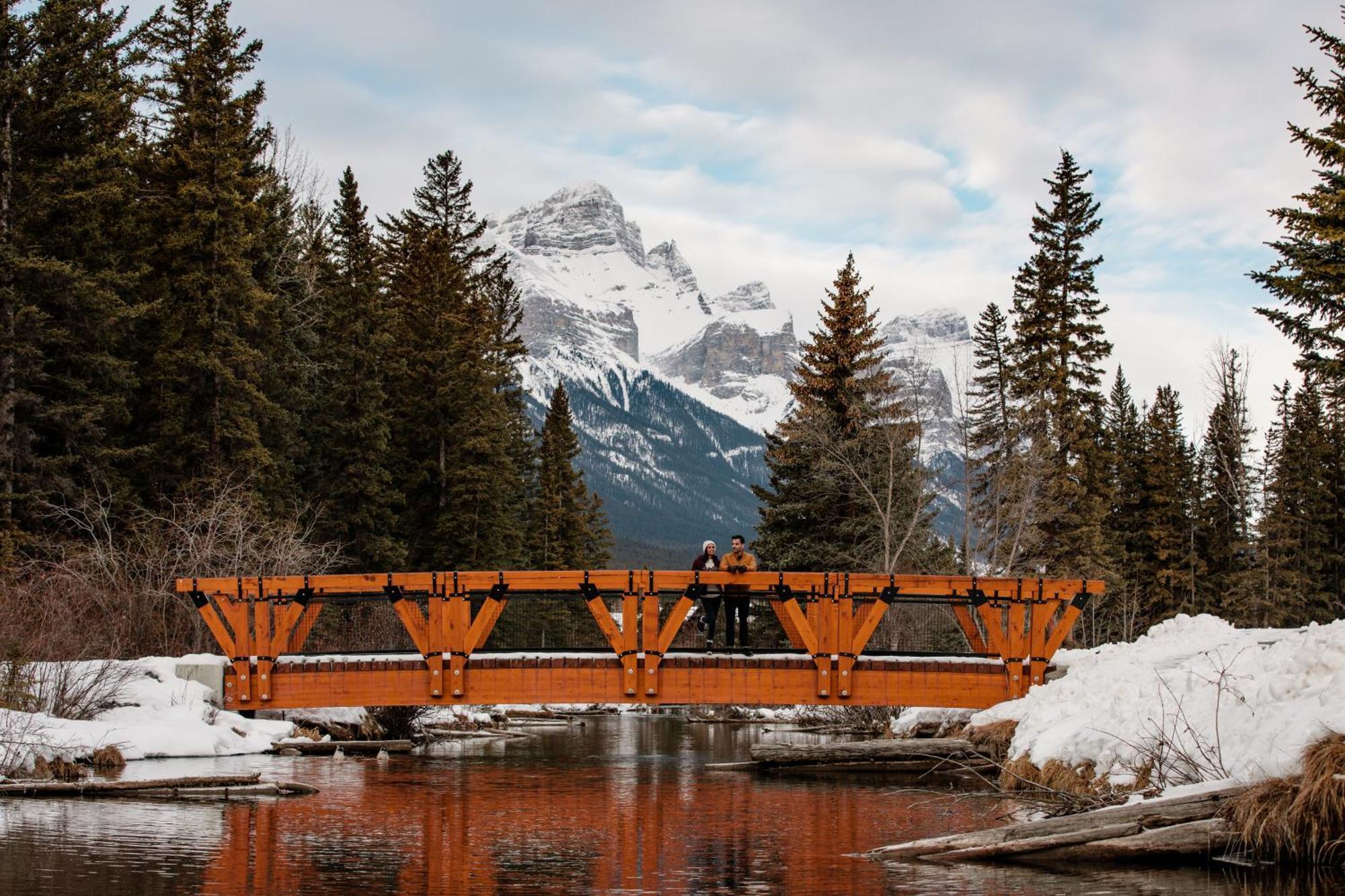 A Bear And Bison Country Inn Canmore Esterno foto