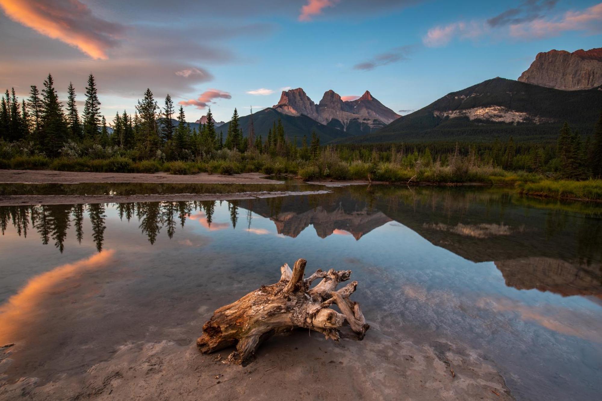 A Bear And Bison Country Inn Canmore Esterno foto