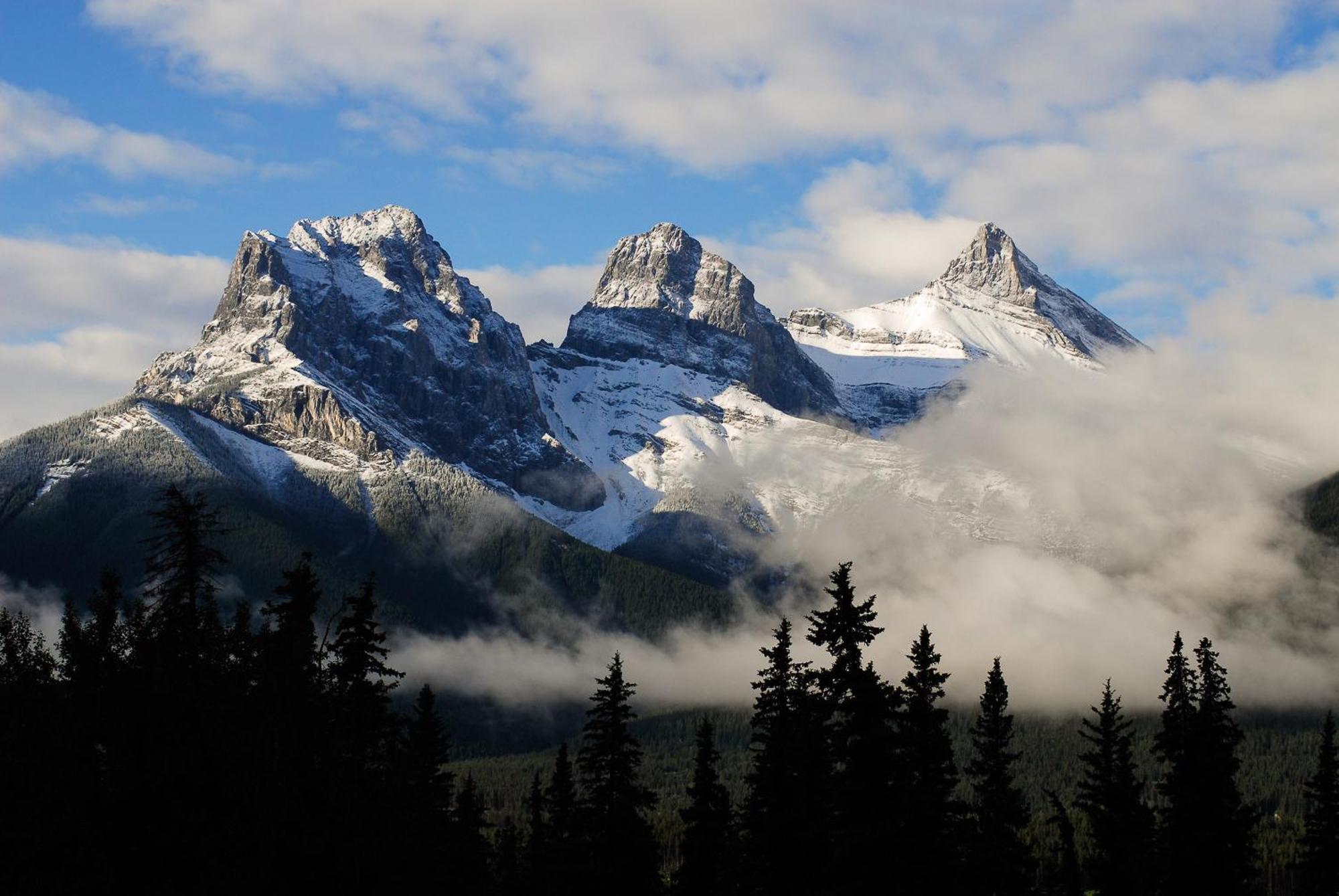 A Bear And Bison Country Inn Canmore Esterno foto